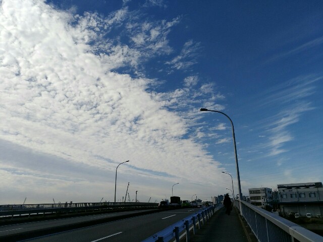 f:id:naminamimoyou:20181103105430j:image f:id:naminamimoyou:20181103105430j:image