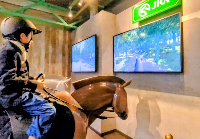 f:id:naminonamimatsu:20251106102407j:image