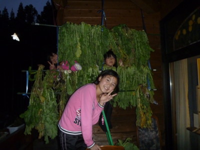 f:id:namiyou:20111129170055j:image