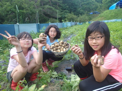 f:id:namiyou:20150712181752j:image f:id:namiyou:20150712181752j:image