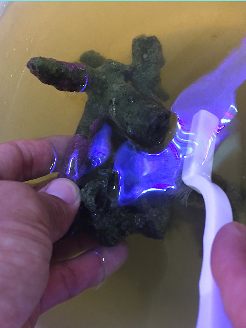 f:id:namnam05:20191116221920j:plain