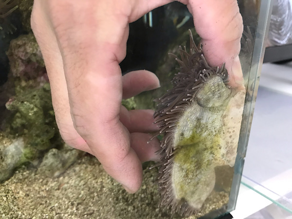 f:id:namnam05:20200311110410j:plain f:id:namnam05:20200311110410j:plain