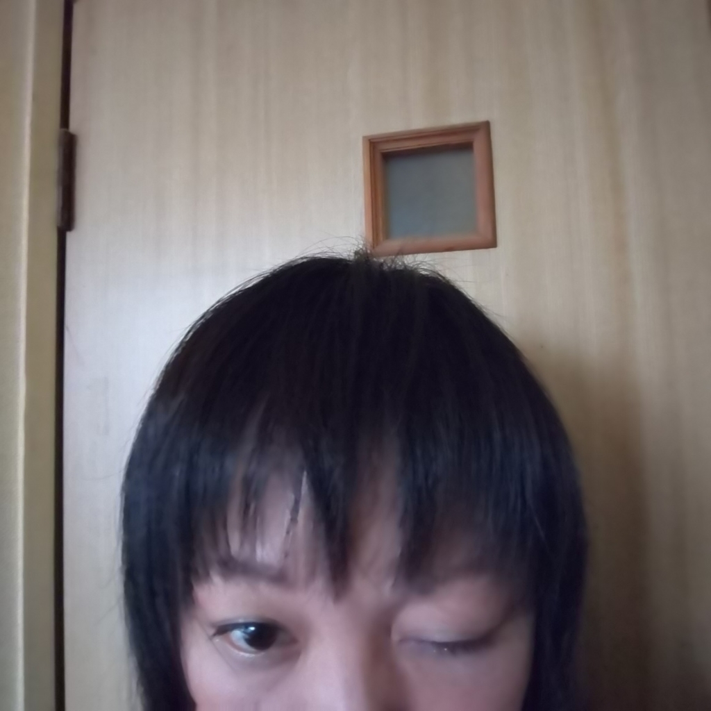 f:id:namosiranu_kusani:20181113205235j:plain f:id:namosiranu_kusani:20181113205235j:plain
