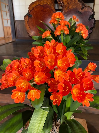 f:id:namu894:20200416064441j:image f:id:namu894:20200416064441j:image