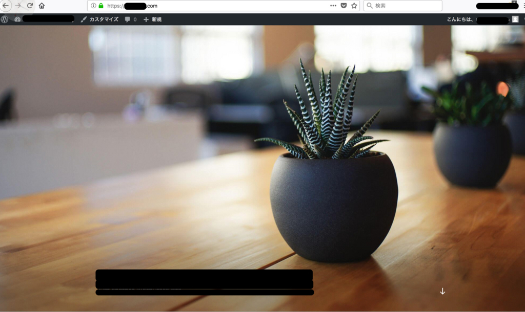 f:id:namusic701042:20180823132025j:plain f:id:namusic701042:20180823132025j:plain