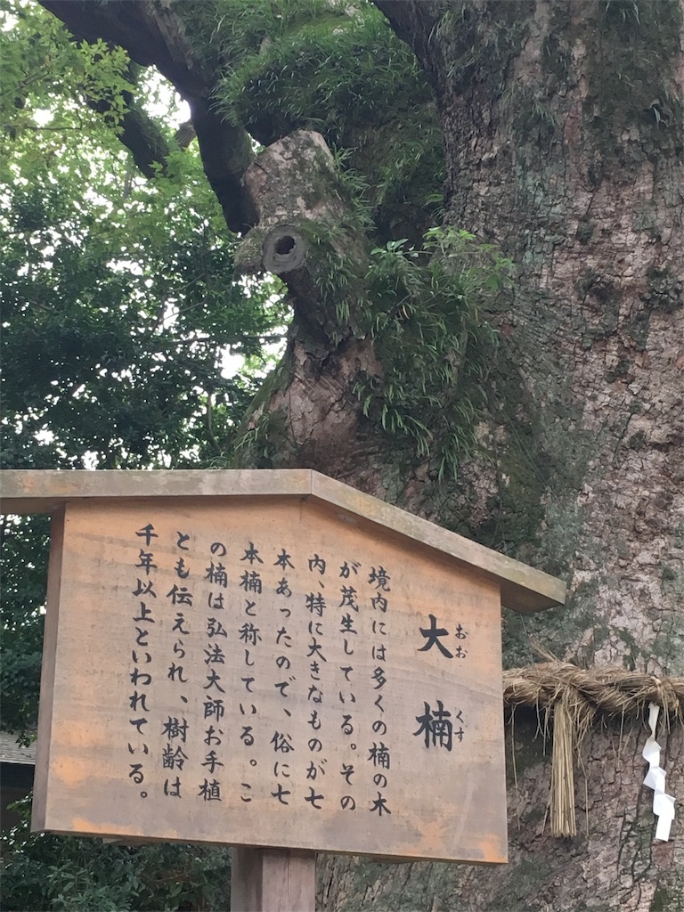 f:id:namya:20180911152900j:image f:id:namya:20180911152900j:image