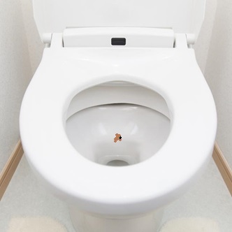 f:id:nan-kan:20171117003957j:plain f:id:nan-kan:20171117003957j:plain