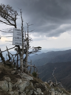 f:id:nan1079:20190616160407j:plain f:id:nan1079:20190616160407j:plain