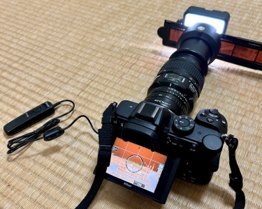 フィルムデジタイズはプライスレス（？） - スライムぴんぼけ日記