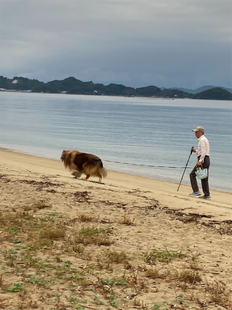 f:id:nana-collie:20241020205645j:image f:id:nana-collie:20241020205645j:image