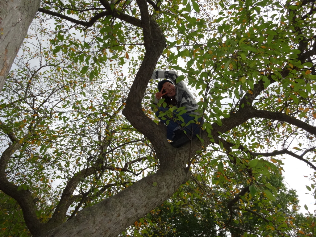 f:id:nana225:20180820194219j:plain