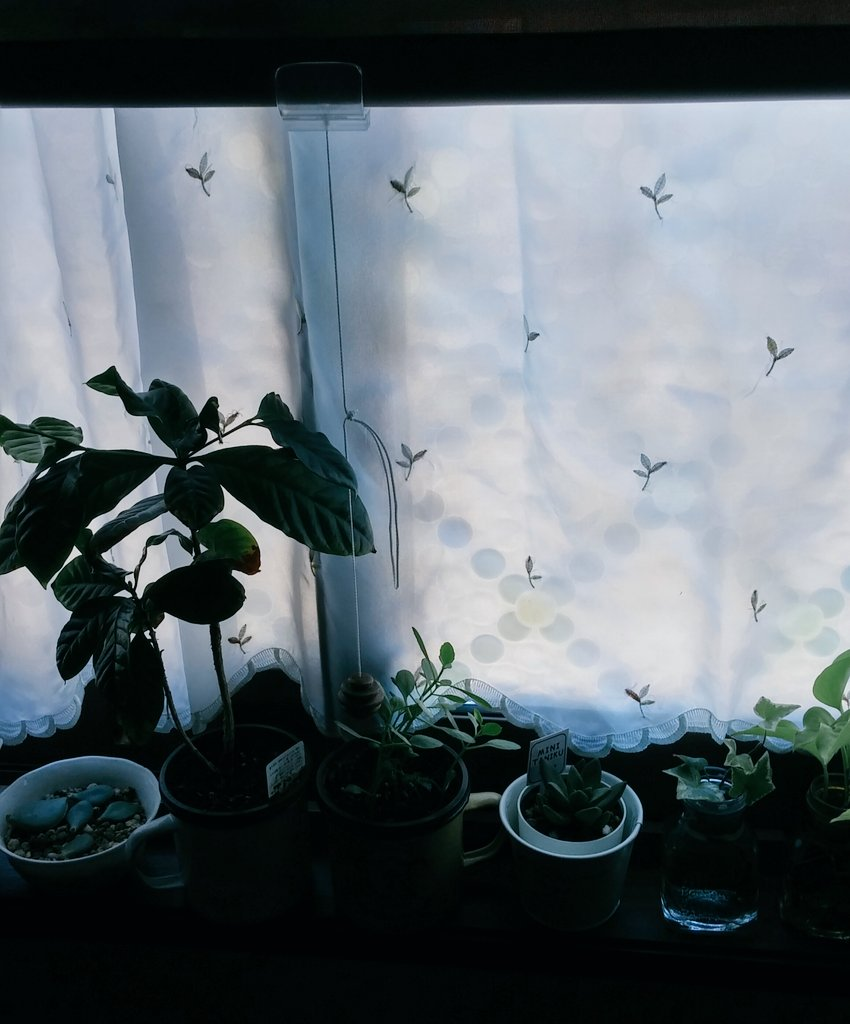 f:id:nana777choose:20170925090955p:plain