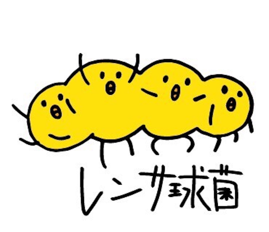 f:id:nana77cha:20191127124443j:image f:id:nana77cha:20191127124443j:image