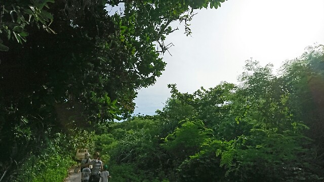 f:id:nana7ko:20170805172831j:image f:id:nana7ko:20170805172831j:image