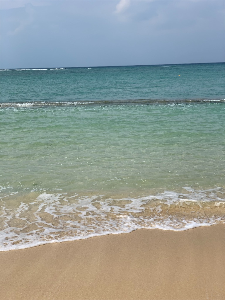 f:id:nana8377:20190401152919j:image f:id:nana8377:20190401152919j:image