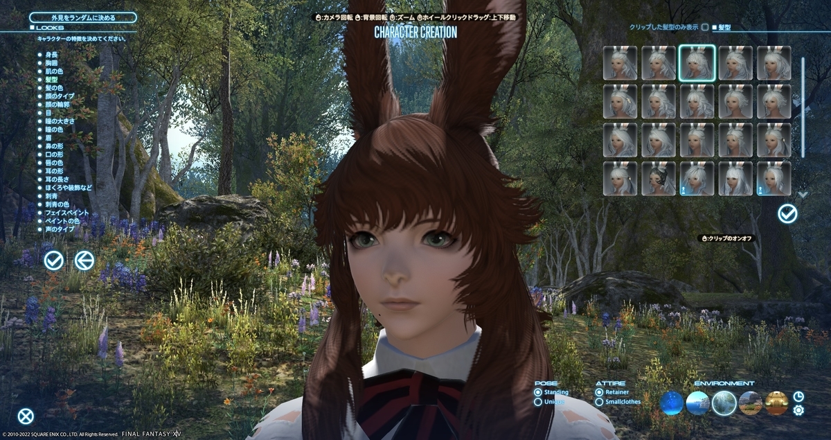 備忘録 デブロイちゃん風リテイナー 今日も程々で行こう