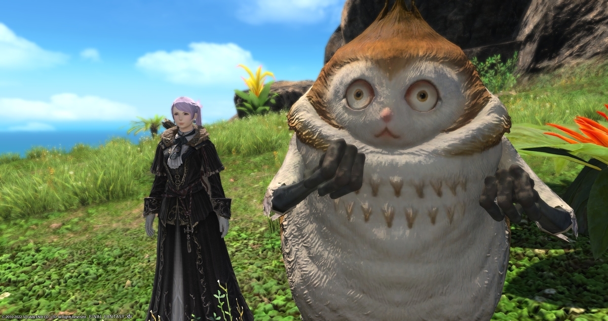 9月22日のブログ更新』 - 今日も程々で行こう！