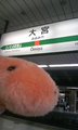 200805千葉一人オフ