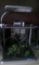 20080917142204