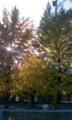 20081114151945