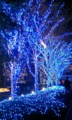 20081222155820