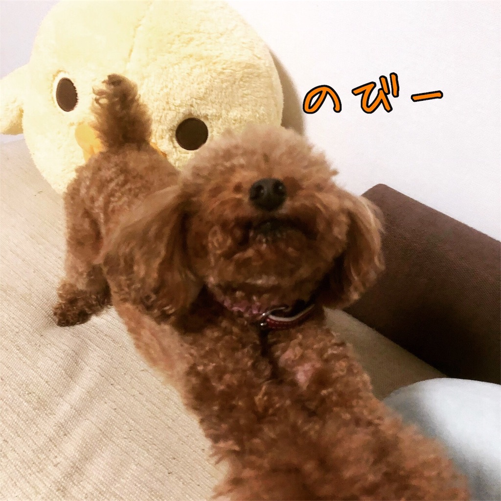 f:id:nana_p:20180124184529j:image f:id:nana_p:20180124184529j:image