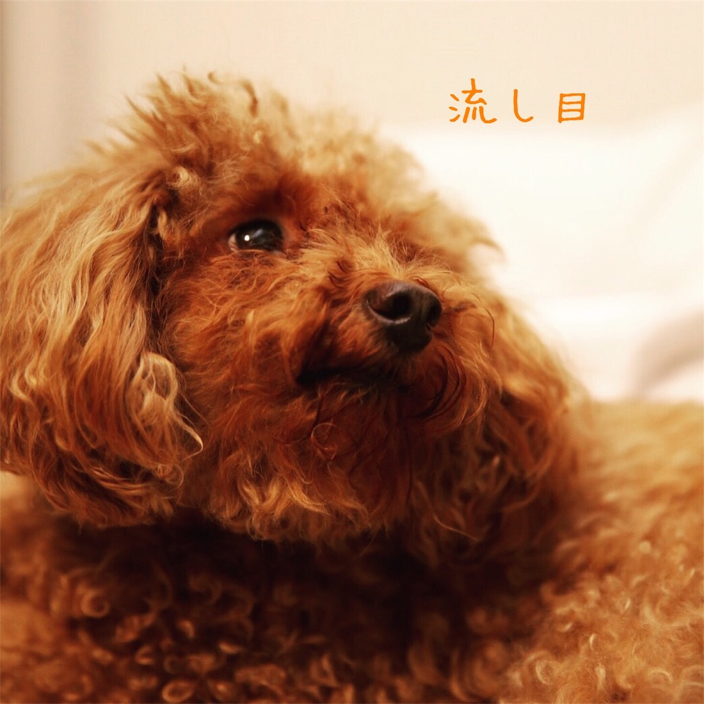 f:id:nana_p:20180124184547j:image f:id:nana_p:20180124184547j:image