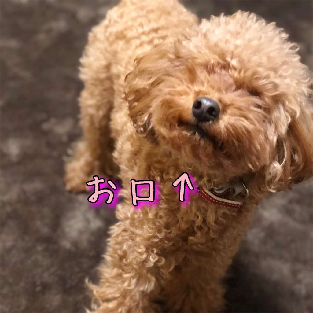 f:id:nana_p:20180124184607j:image f:id:nana_p:20180124184607j:image