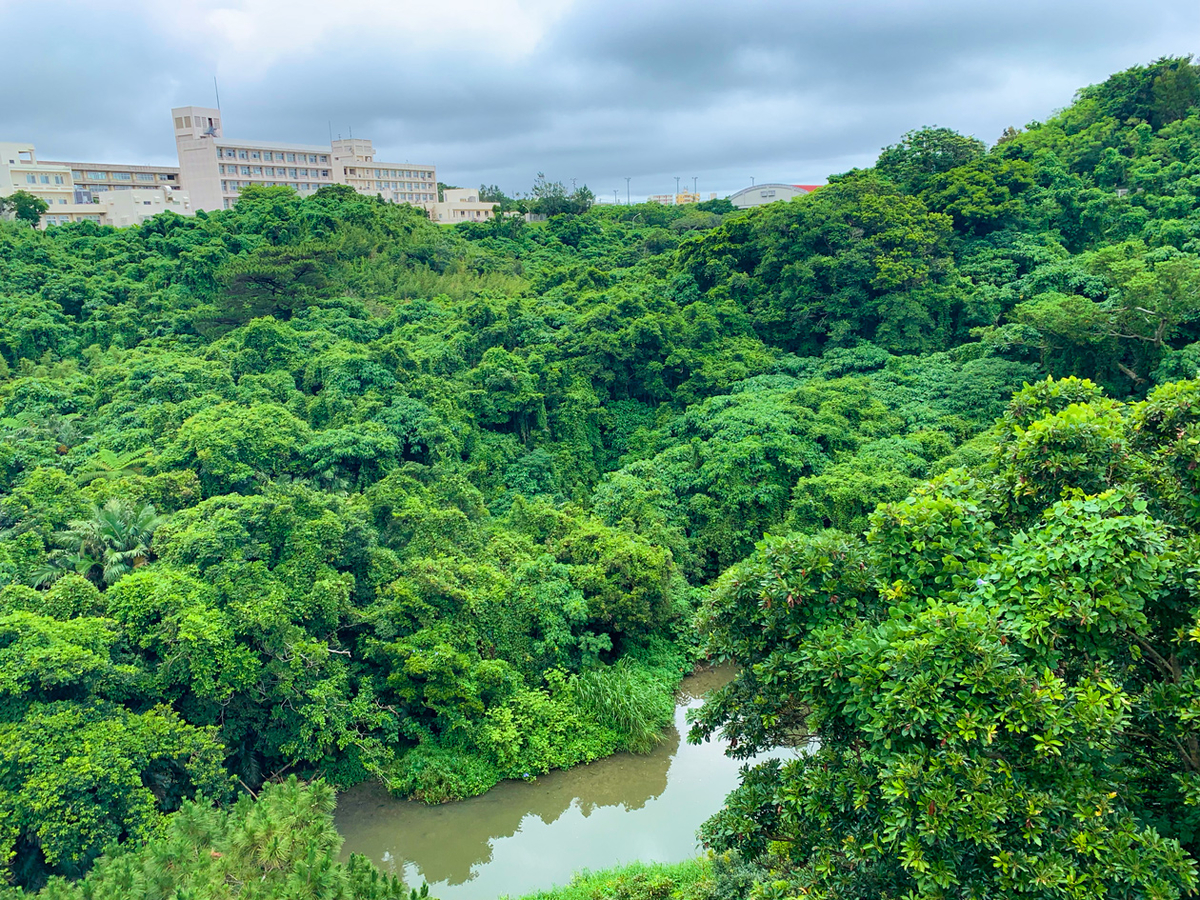 f:id:nana_yu:20190610112406j:plain