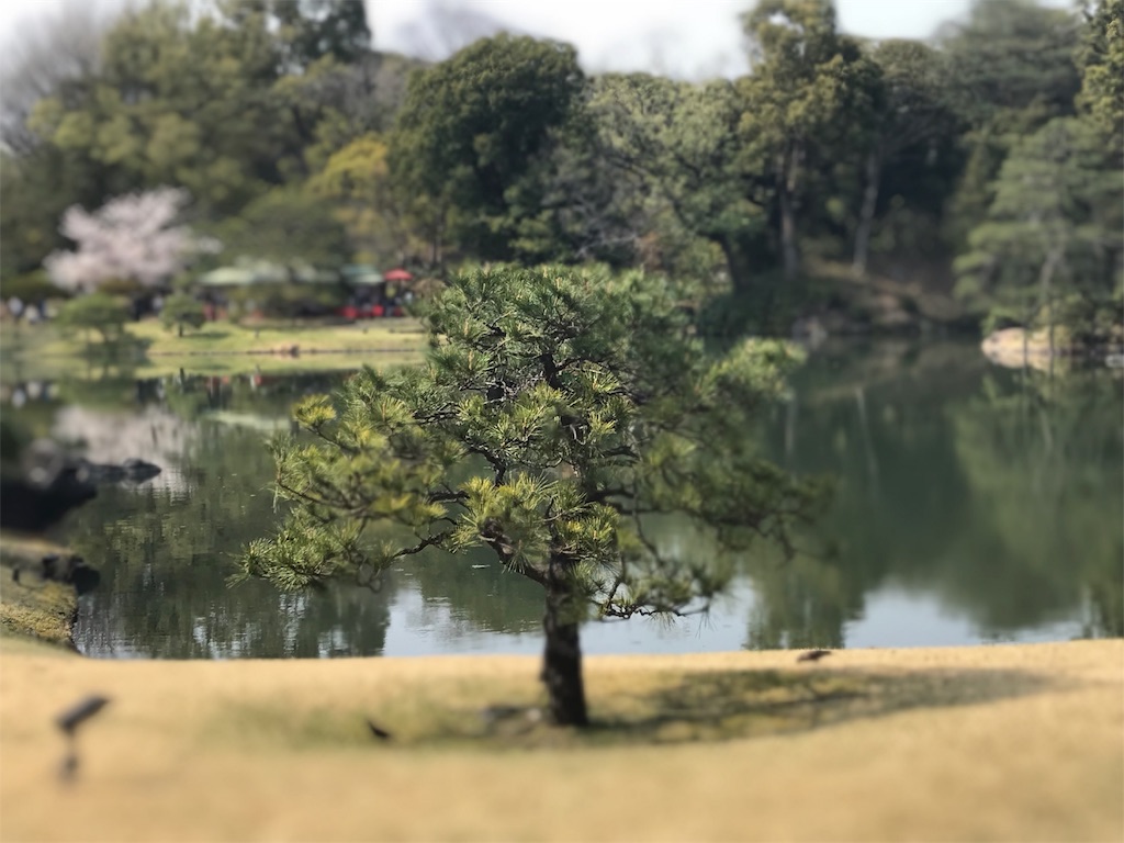 f:id:nanaax:20190407185951j:image