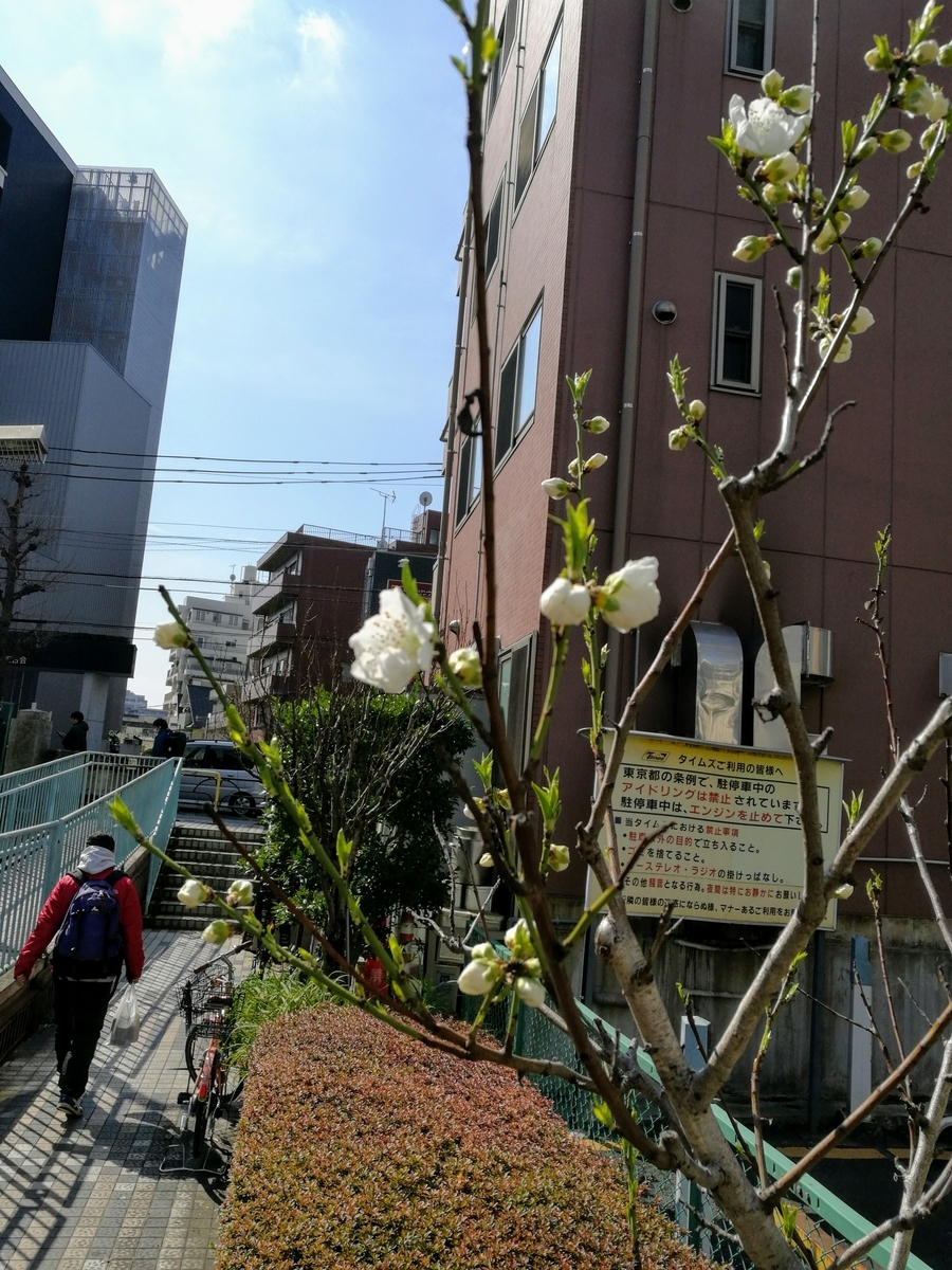 f:id:nanabannn:20200229114536j:plain