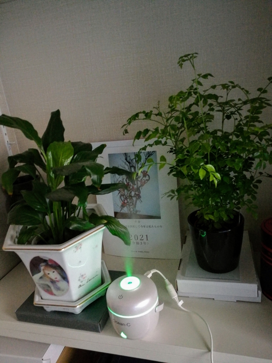 f:id:nanabannn:20210102213948j:plain