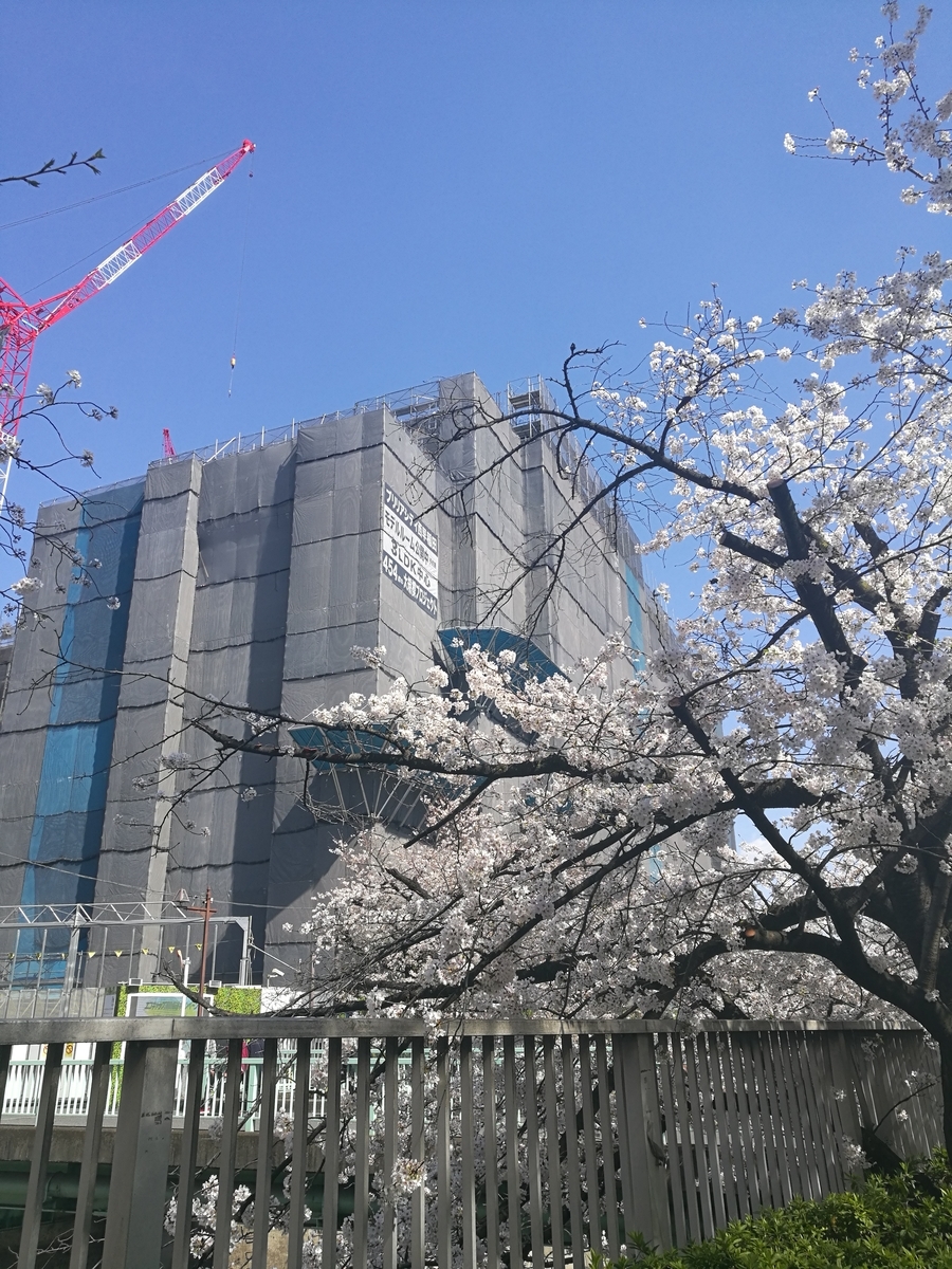 f:id:nanabannn:20210407043653j:plain