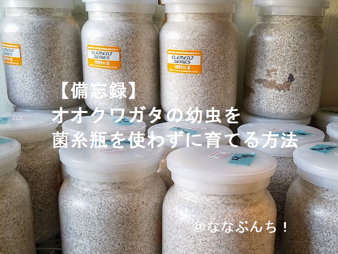 f:id:nanabunnogo:20210911155106j:plain