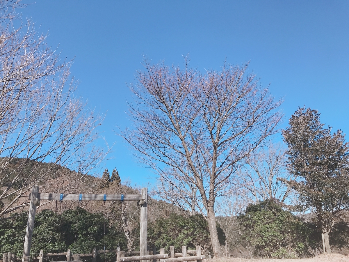 f:id:nanacamp:20200123144429j:plain