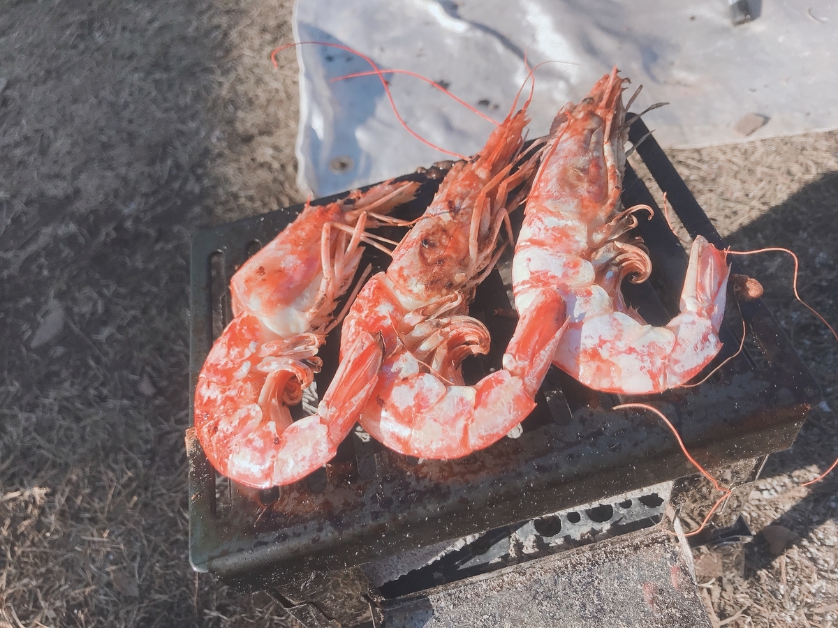 f:id:nanacamp:20200123144706j:plain