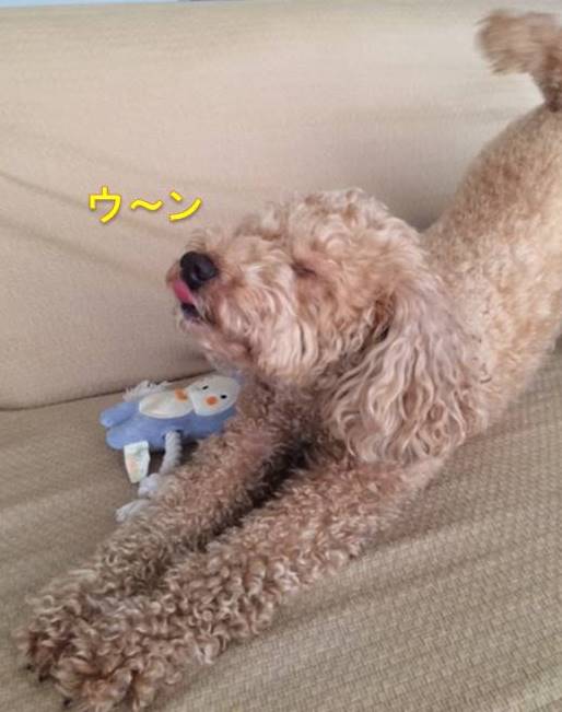 f:id:nanachan59:20171004151814j:plain