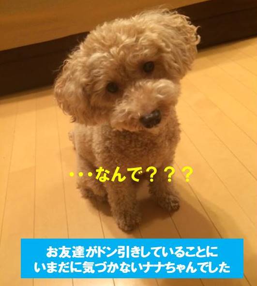 f:id:nanachan59:20171020205059j:plain