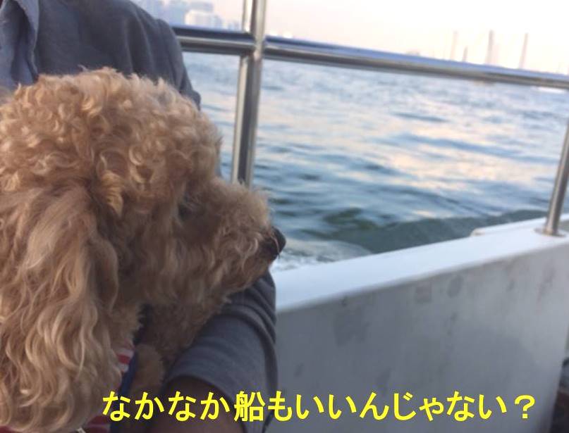 f:id:nanachan59:20171105114917j:plain