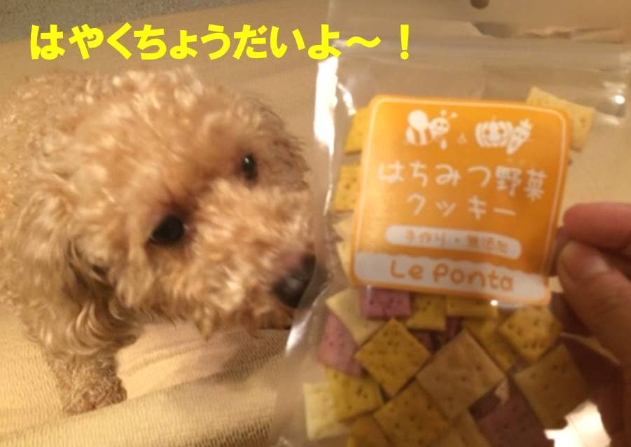 f:id:nanachan59:20171109143815j:plain