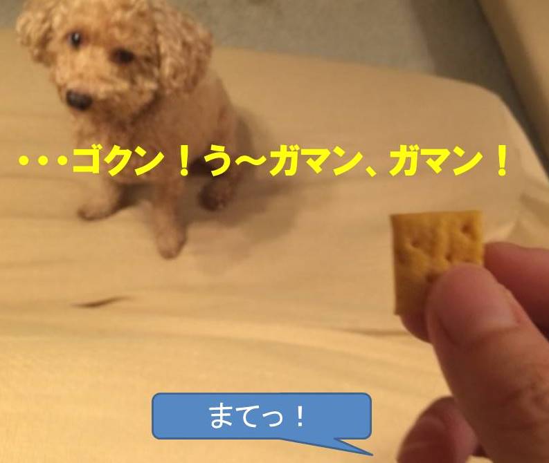 f:id:nanachan59:20171109144651j:plain