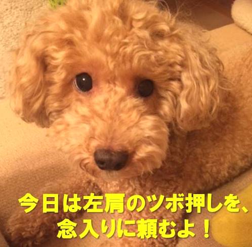 f:id:nanachan59:20171123154832j:plain
