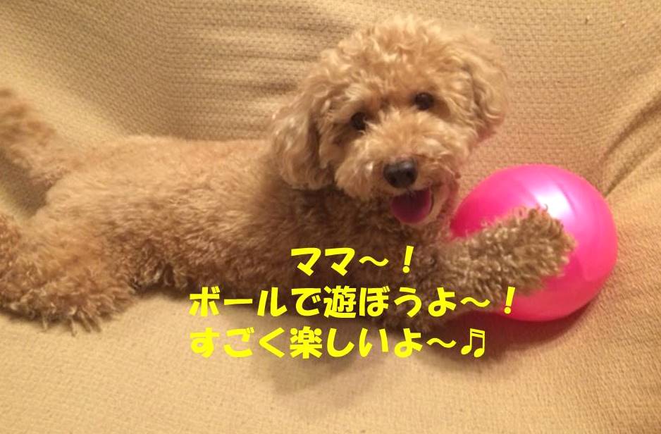 f:id:nanachan59:20180327144645j:plain