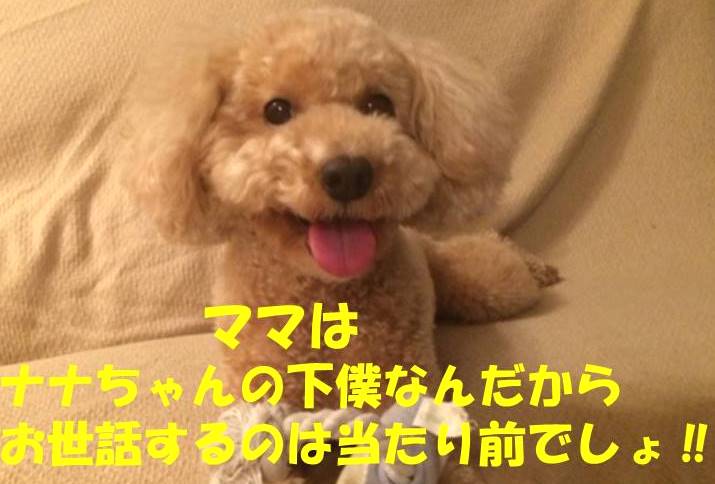 f:id:nanachan59:20180421214938j:plain