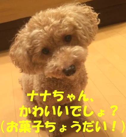 f:id:nanachan59:20180515182018j:plain