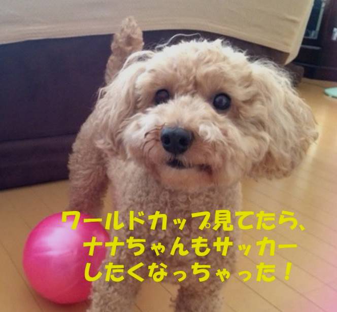 f:id:nanachan59:20180707160932j:plain f:id:nanachan59:20180707160932j:plain