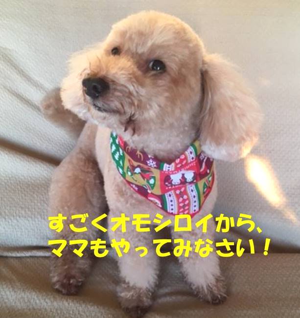 f:id:nanachan59:20190501173411j:plain f:id:nanachan59:20190501173411j:plain
