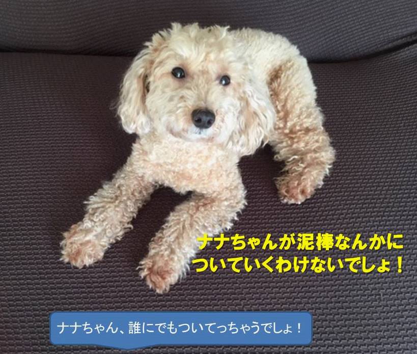 f:id:nanachan59:20190728212758j:plain