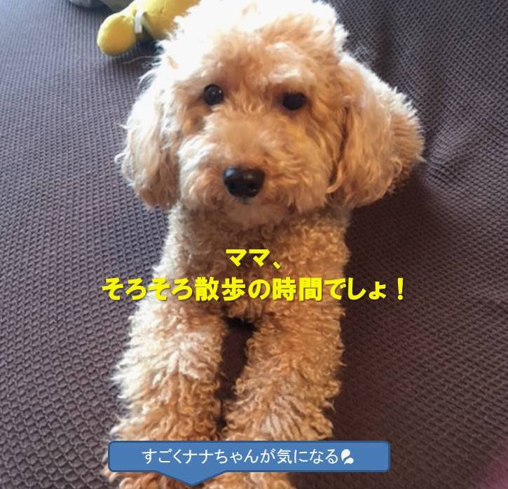 f:id:nanachan59:20191002184405j:plain
