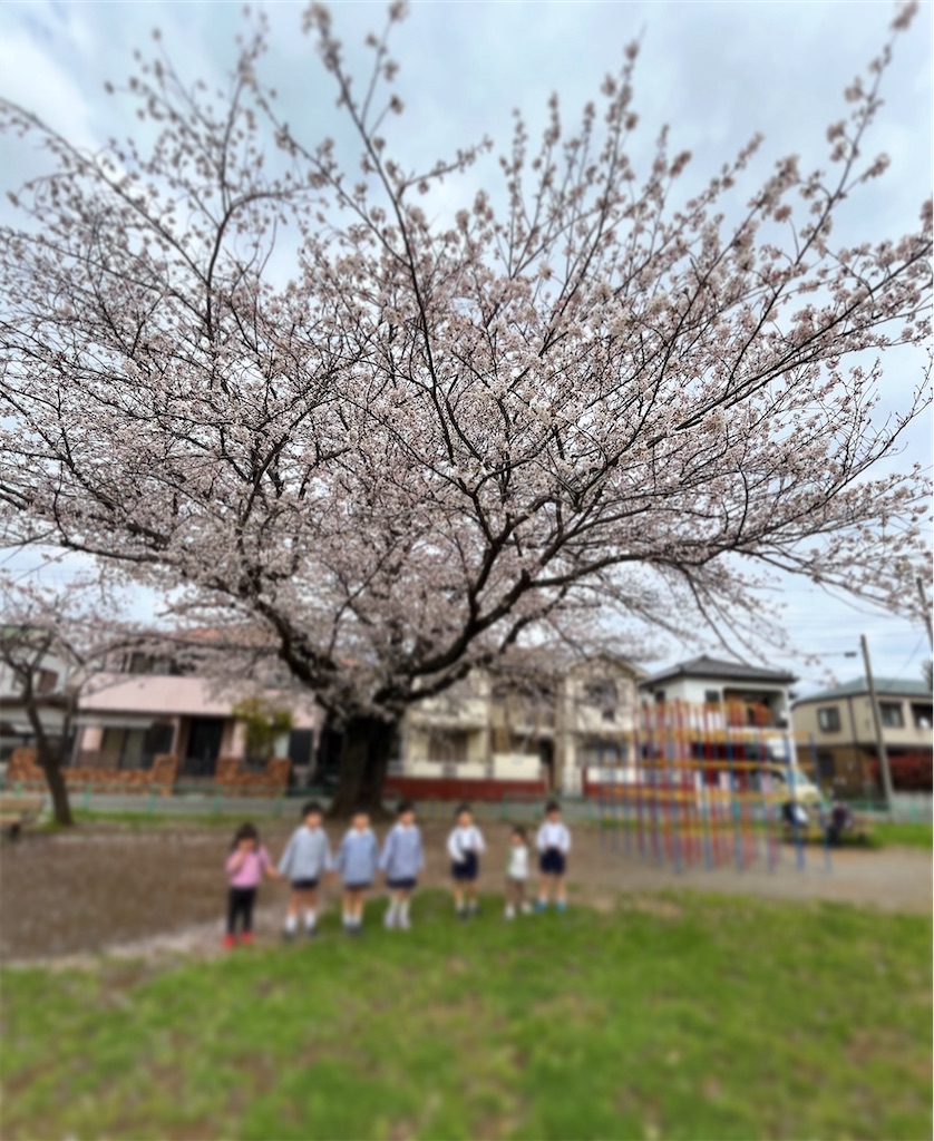 f:id:nanaconanaco:20240413032301j:image